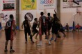 /album/a02-03-2013-pavilh%c3%a3o-cani%c3%a7al/img-3064-jpg/