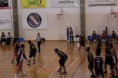 /album/a02-03-2013-pavilh%c3%a3o-cani%c3%a7al/img-3104-jpg/